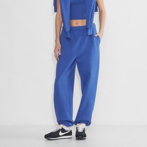 Aritzia Cozy Fleece Mega Sweatpant